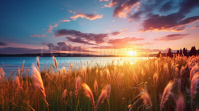 Buy stock photo Summer sunset or sunrise landscape with a plain wild field and a lake on background