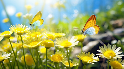 Beautiful summer background with field of wild flowers and flying butterflies