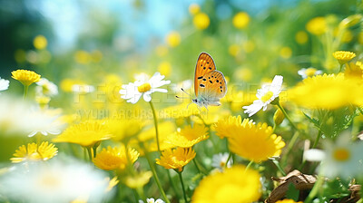 Beautiful summer background with field of wild flowers and flying butterflies