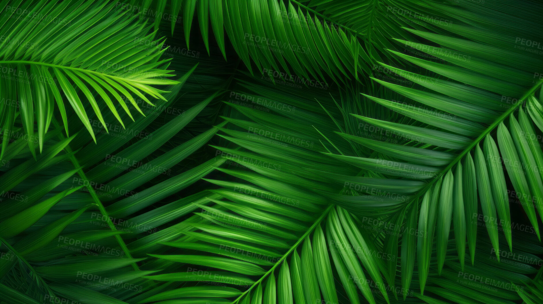 Buy stock photo Green tropical background with Palm leaves or jungle plants for summer and your design