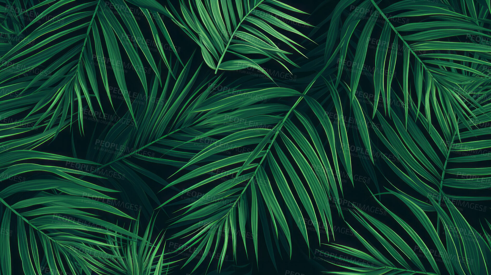 Buy stock photo Green tropical background with Palm leaves or jungle plants for summer and your design