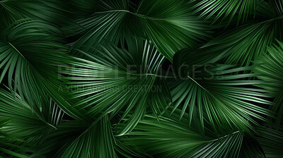 Buy stock photo Green tropical background with Palm leaves or jungle plants for summer and your design