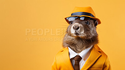 Beaver wearing human clothes. Abstract art background copyspace concept.