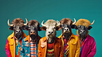 Buffalos wearing human clothes. Abstract art background copyspace concept.