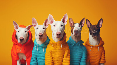 Bull terriers wearing human clothes. Abstract art background copyspace concept.