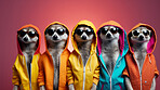 Meerkat wearing human clothes. Abstract art background copyspace concept.