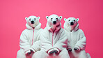 Polar bears wearing human clothes. Abstract art background copyspace concept.