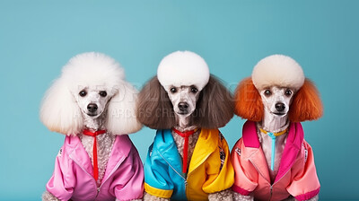 Poodles wearing human clothes. Abstract art background copyspace concept.