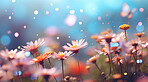 Colourful blooms in a field. Bokeh effect. Fairytale concept.