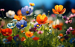 Colorful flower meadow in summer. Nature background.