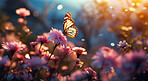 Wild flowers and butterfly in a meadow in nature. Beautiful sunset.