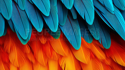 Closeup blue feathers creative banner. Abstract art texture detail