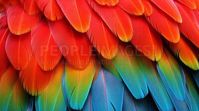 Closeup Mcaw feathers creative banner. Abstract art texture detail background