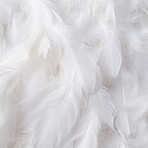 Closeup white feathers creative banner. Abstract art texture detail background