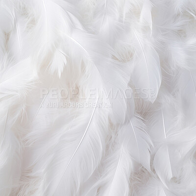 Beautiful abstract red feathers on white background, white feather