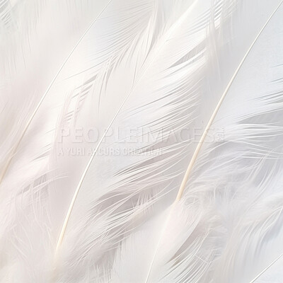 Closeup white feathers creative banner. Abstract art texture detail background