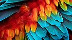 Closeup Mcaw feathers creative banner. Abstract art texture detail background