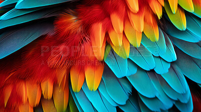 Closeup Mcaw feathers creative banner. Abstract art texture detail background