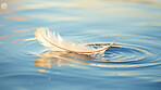 Closeup white feather floating on water. Peace, hope, and faith concept