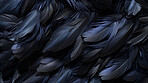 Closeup black feathers creative banner. Abstract art texture detail background