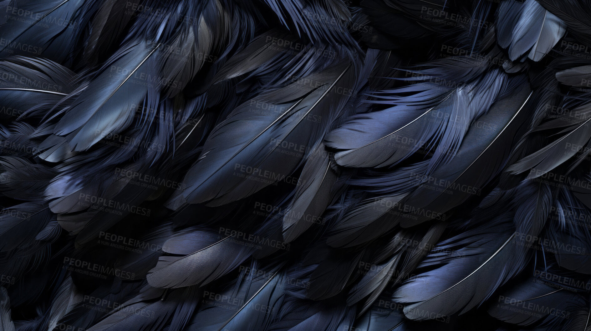 Buy stock photo Closeup black feathers creative banner. Abstract art texture detail background