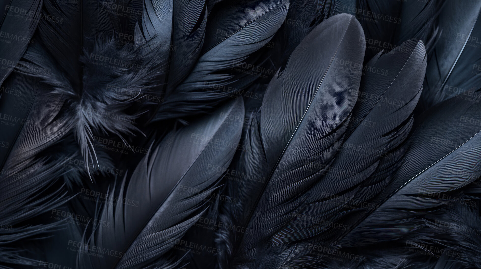 Buy stock photo Closeup black feathers creative banner. Abstract art texture detail background