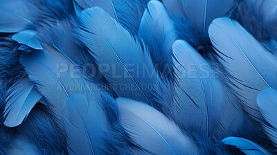 Closeup blue feathers creative banner. Abstract art texture detail background