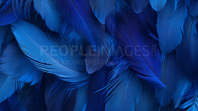 Blue feather Images - Search Images on Everypixel