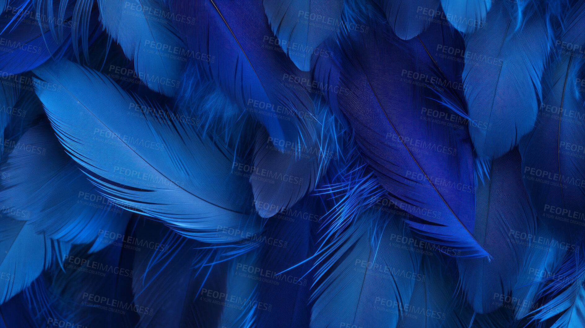 Buy stock photo Closeup blue feathers creative banner. Abstract art texture detail background