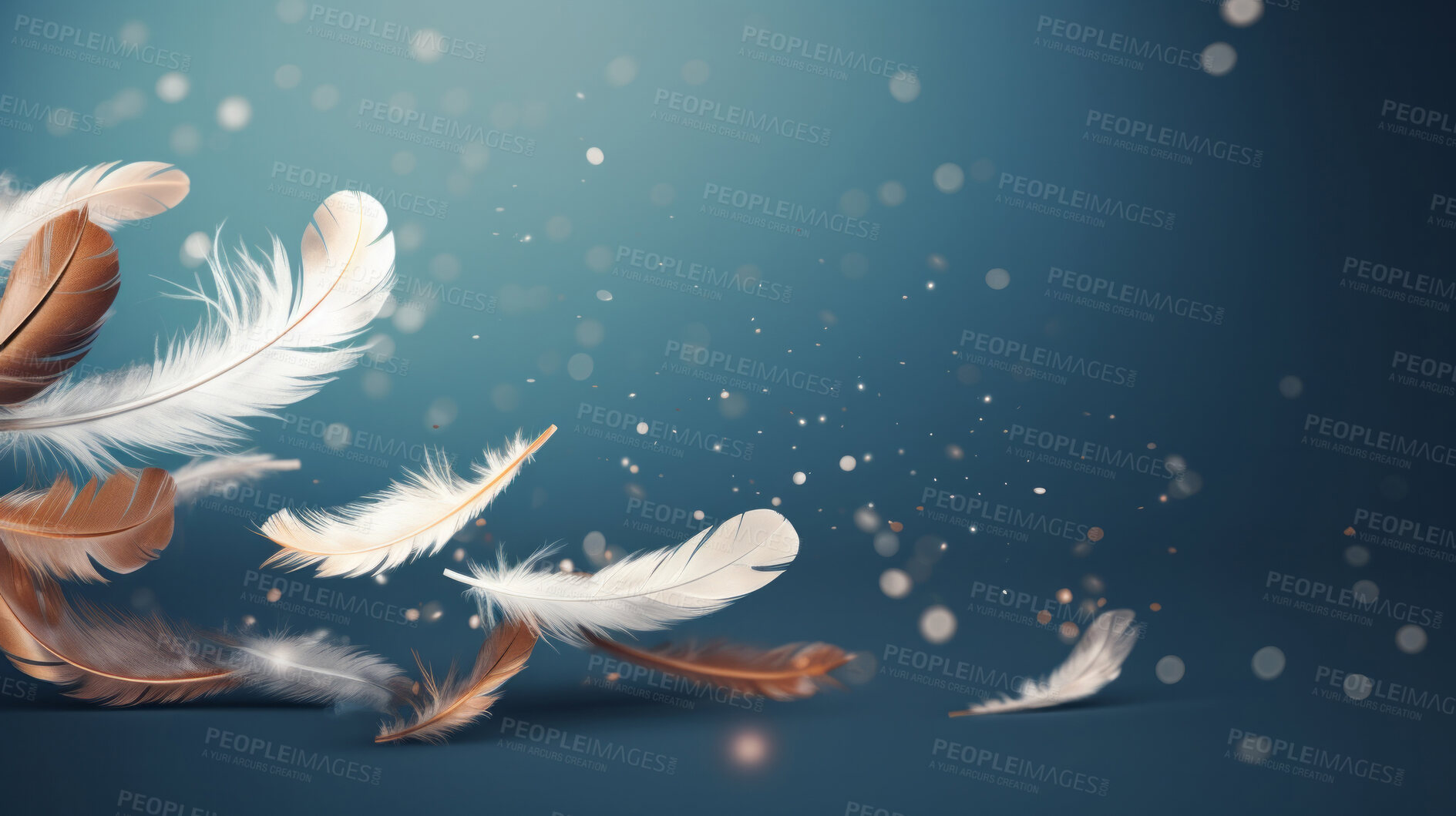 Buy stock photo Feathers falling on dark background. Bokeh banner with copyspace