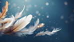 Feathers falling on dark background. Bokeh banner with copyspace