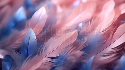 Closeup colorful feathers creative banner. Abstract art texture detail background