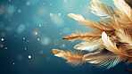 Feathers falling on dark background. Bokeh banner with copyspace