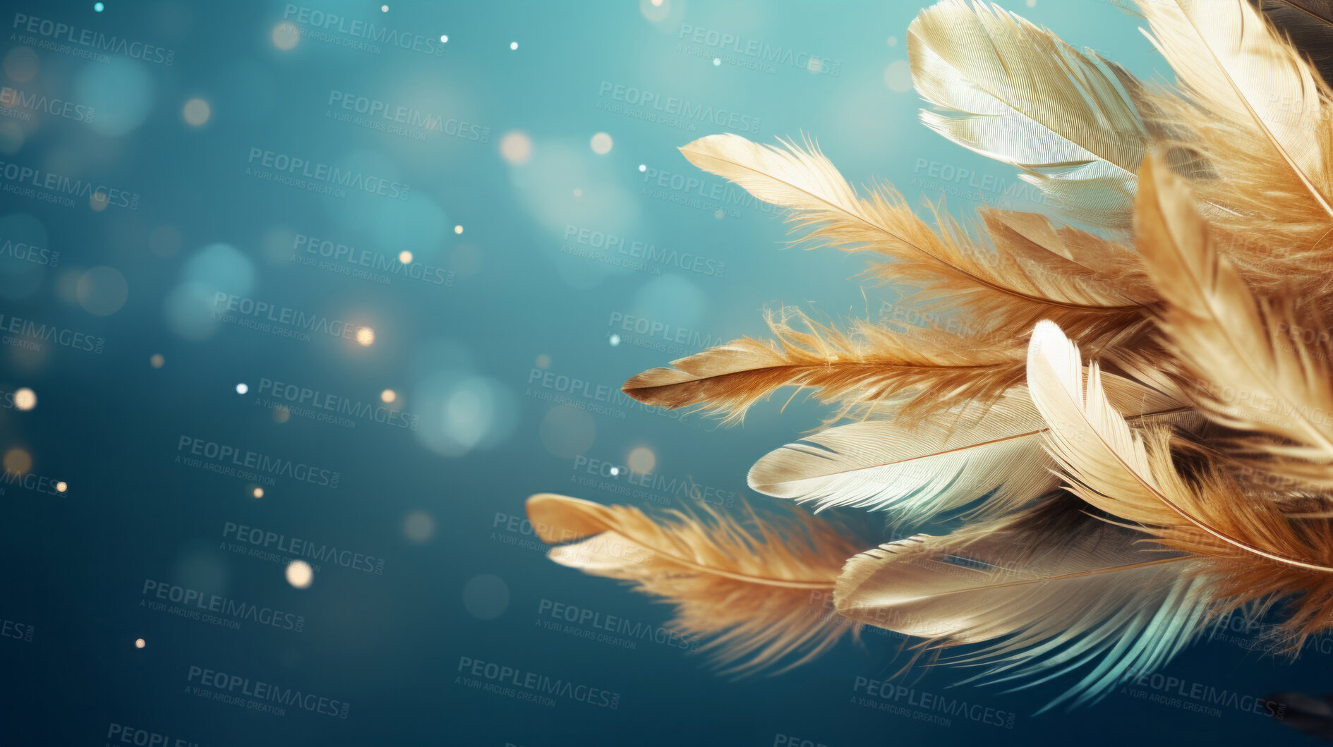 Buy stock photo Feathers falling on dark background. Bokeh banner with copyspace