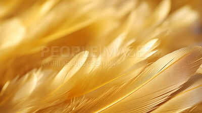 Closeup gold feathers creative banner. Abstract art texture detail background