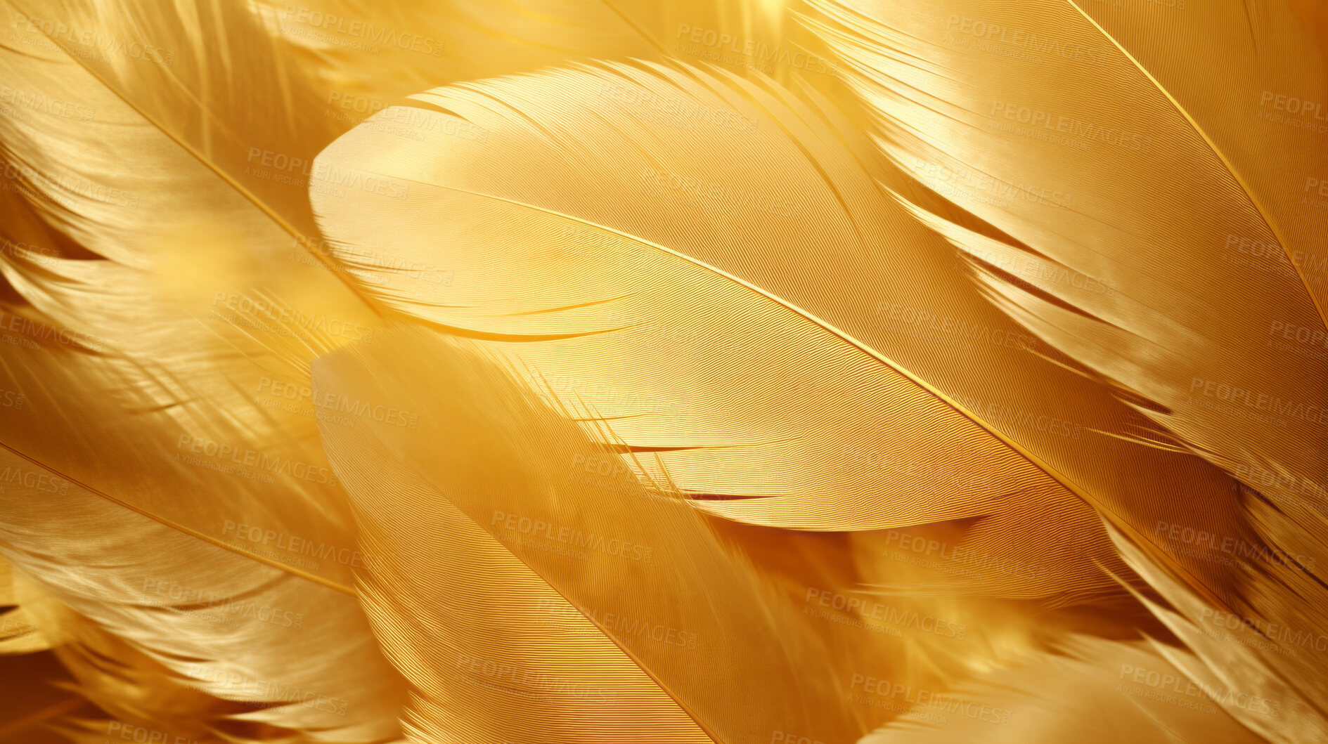 Buy stock photo Closeup gold feathers creative banner. Abstract art texture detail background