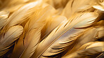 Closeup gold feathers creative banner. Abstract art texture detail background