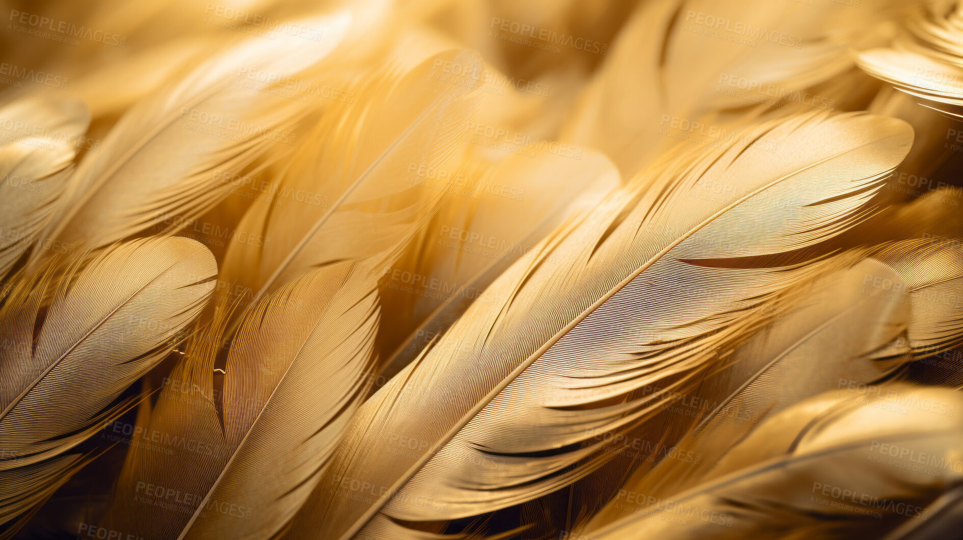 Buy stock photo Closeup gold feathers creative banner. Abstract art texture detail background