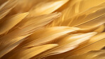 Closeup gold feathers creative banner. Abstract art texture detail background