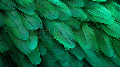 Closeup green feathers creative banner. Abstract art texture detail background