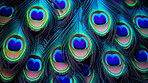 Closeup peacock feathers creative banner. Abstract art texture detail background