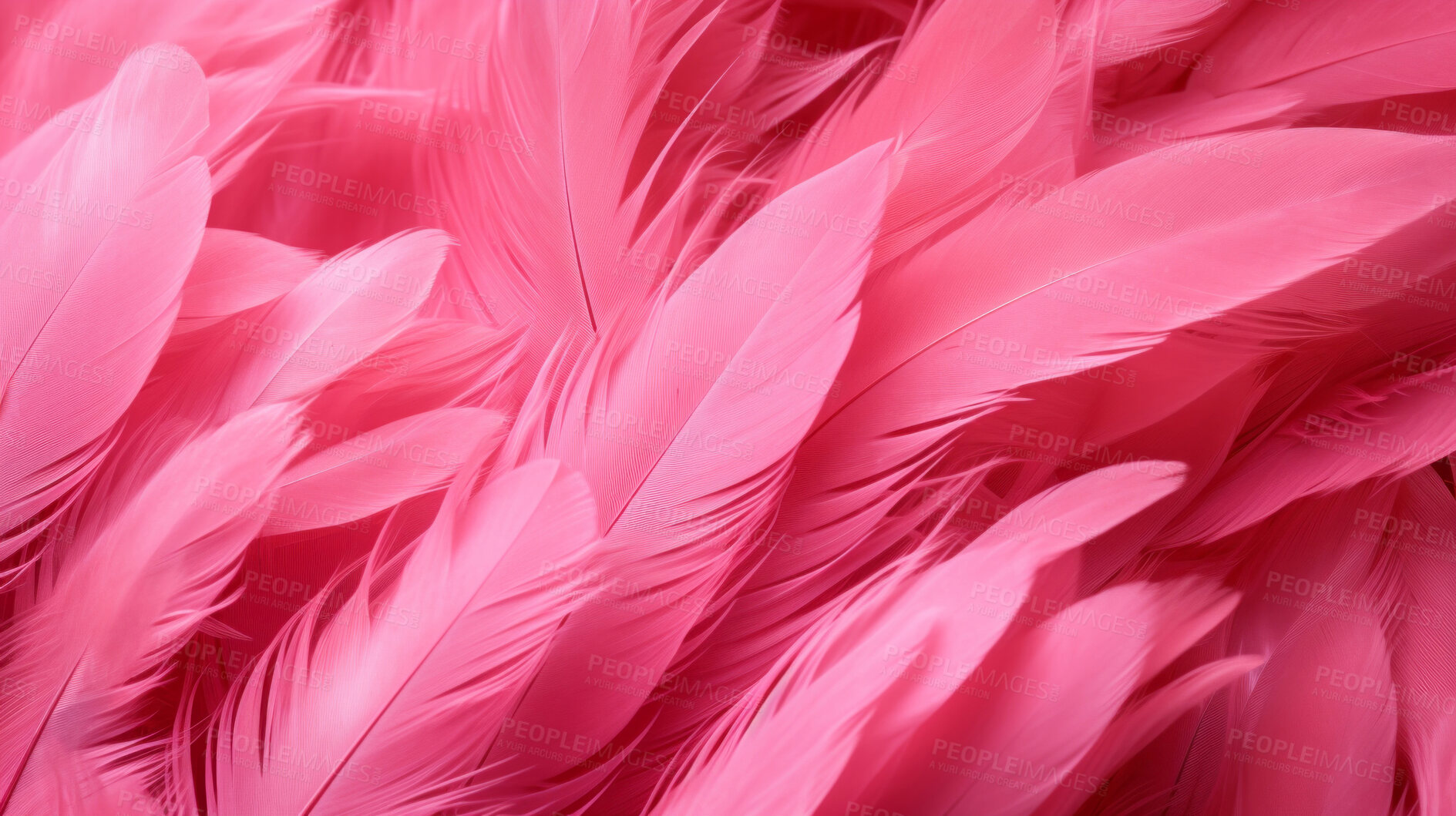 Buy stock photo Closeup pink feathers creative banner. Abstract art texture detail background