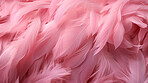 Closeup pink feathers creative banner. Abstract art texture detail background