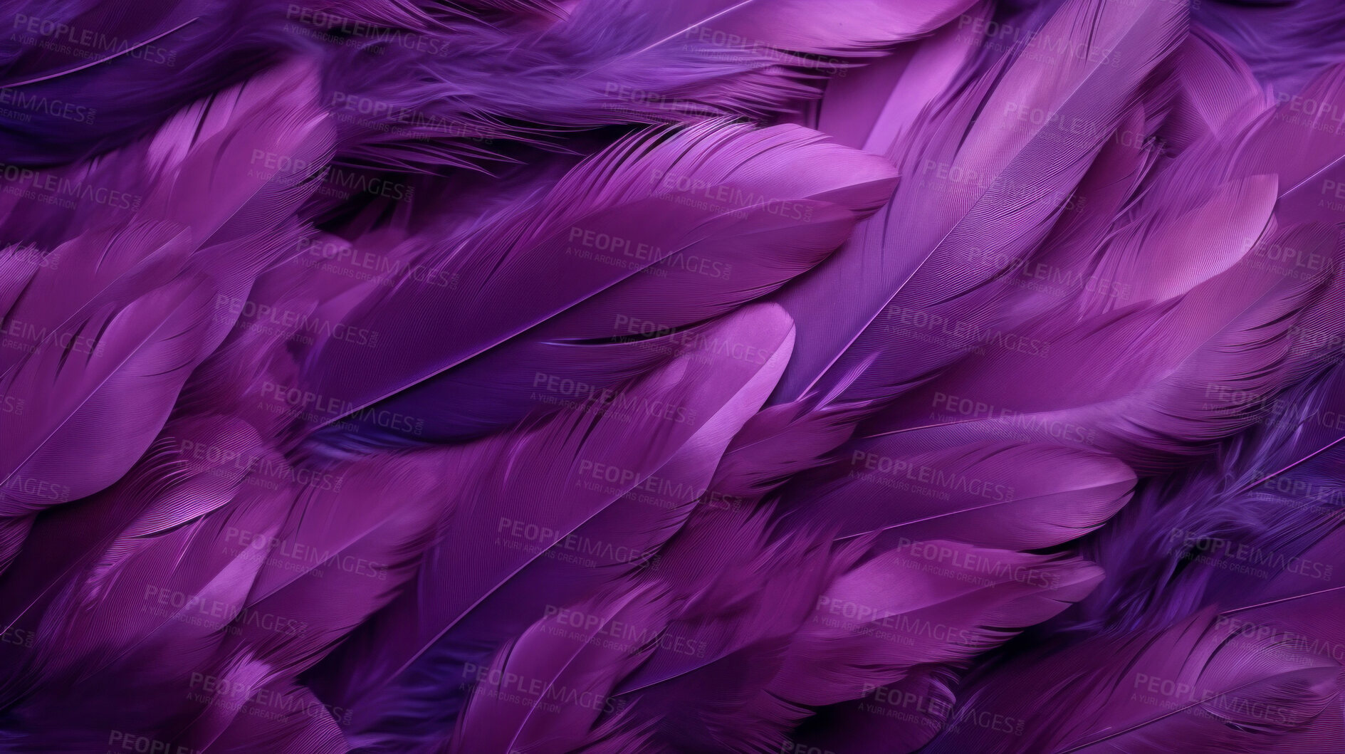 Buy stock photo Closeup purple feathers creative banner. Abstract art texture detail background