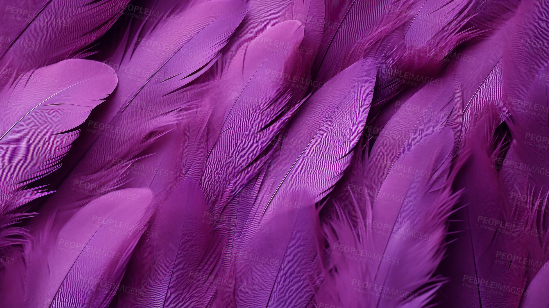 Buy stock photo Closeup purple feathers creative banner. Abstract art texture detail background