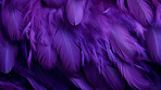 Closeup purple feathers creative banner. Abstract art texture detail background