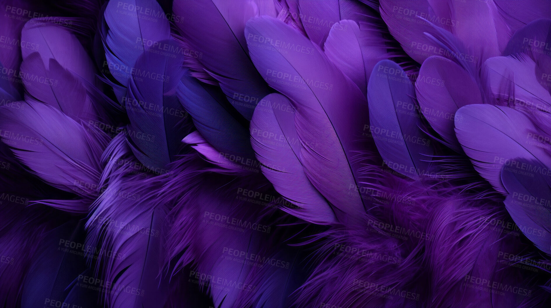 Buy stock photo Closeup purple feathers creative banner. Abstract art texture detail background