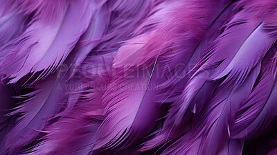 Closeup purple feathers creative banner. Abstract art texture detail background