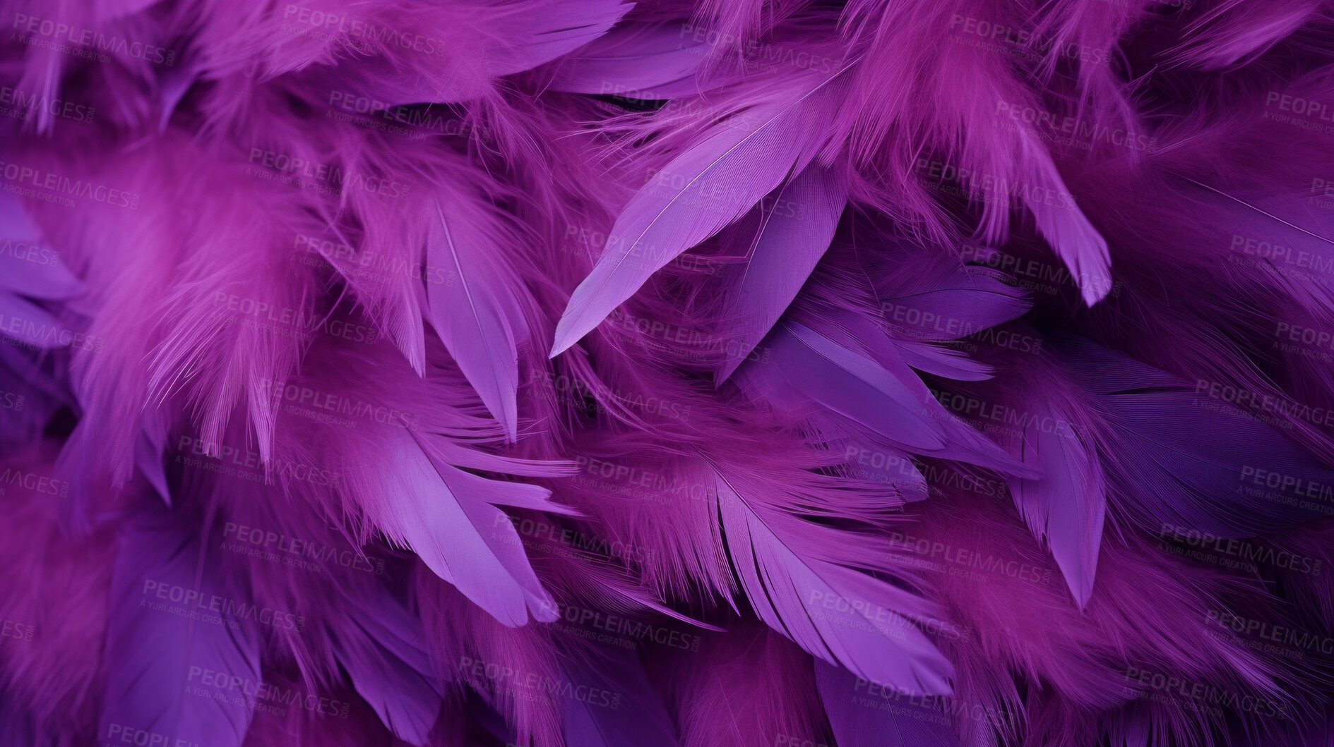 Buy stock photo Closeup purple feathers creative banner. Abstract art texture detail background