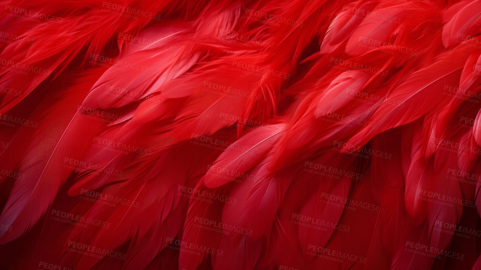 Buy stock photo Closeup red feathers creative banner. Abstract art texture detail background